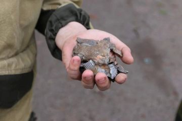 ВСУ нанесли удары по двум аптекам в Запорожской области
