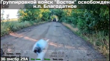 Группировкой войск "Восток" освобожден населенный пункт Благодатное в Запорожской области