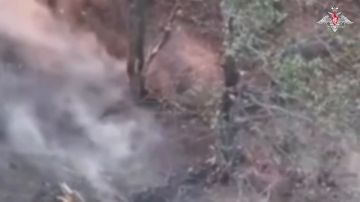 Артиллеристы группировки «Восток» эффектно уничтожили опорные пункты, блиндажи и укрытия ВСУ в Запорожской области