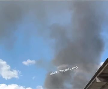 ������� ���� �� ������ �������� "����" � ���������