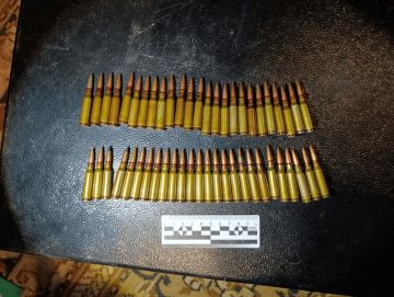 56 патронов стали основанием для возбуждения уголовного дела: сотрудники полиции ОМВД России "Бердянский" пресекли незаконное хранение боеприпасов