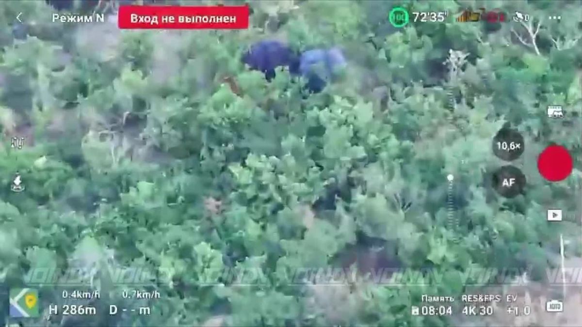 Уничтожений позиций ВСУ в Запорожской области ударами бойцов 26-го полка РХБЗ