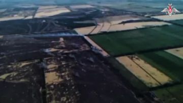 Наши «Грады» мощно разнесли скопление пехоты ВСУ в лесах Запорожской области