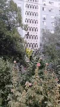 �� ��� ������ �� ������ ����� ������� �� ���