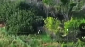 ��������� 14 ��������� ������� �������� ����������� ����� "������" ���������� ����� ������ ���������� �� ����������� �����������