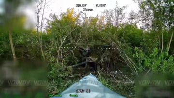 ��������� ���� 30 ��������� ���� ������������ ���������� 36 ����� ����������� ����� ������� ������� � ���������� ������� ���������� �� ����������� �����������