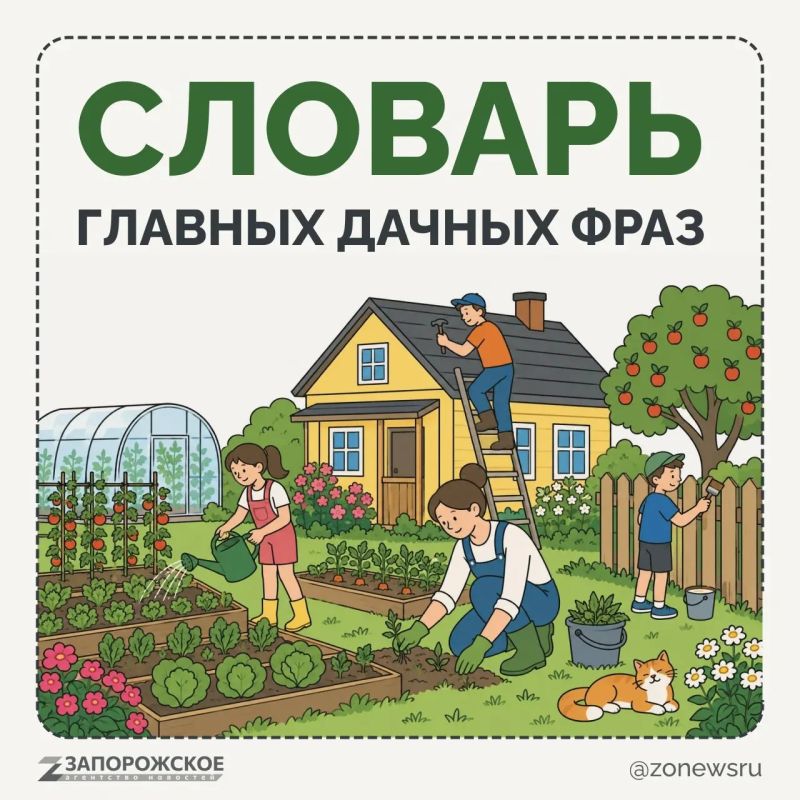 Что такое дача? Для одних — тишина, свежий воздух, шашлыки и отдых от городской суеты