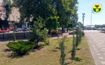 В Мелитополе продолжается благоустройство городских территорий