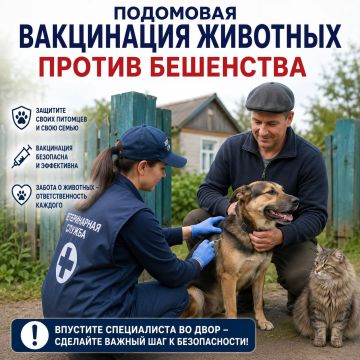 ������ "������������� ������" � ���������� �������� ����� ������� ��������� 2026 ���� �� ��������� ���������� �������� �������� �� ���������