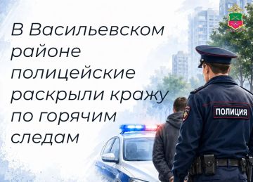В Михайловке участковые уполномоченные полиции раскрыли кражу имущества из домовладения