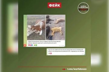 ������������ ������� � ��������� ��������� ���� � ����������� �������