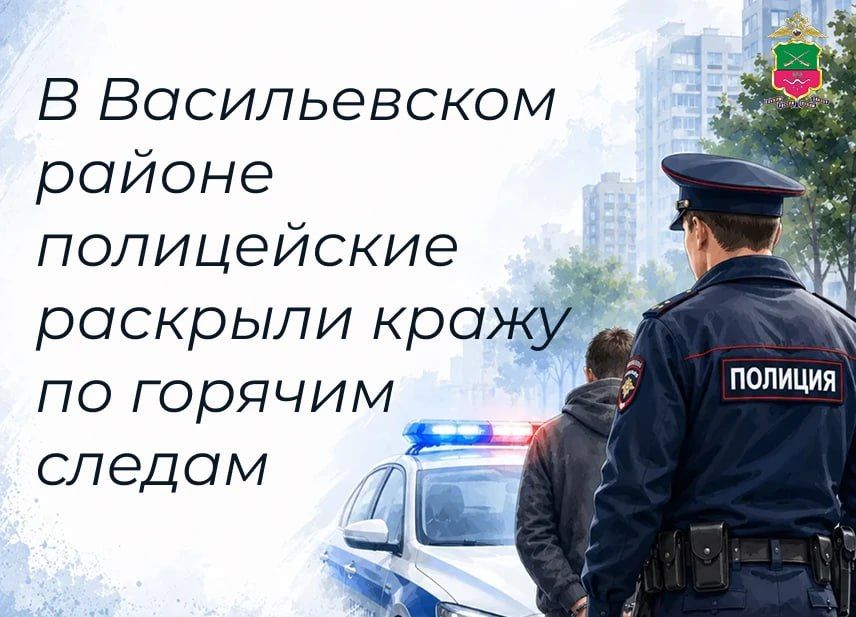 В Михайловке участковые уполномоченные полиции раскрыли кражу имущества из домовладения