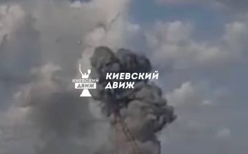 ���� ������ �������� ��������