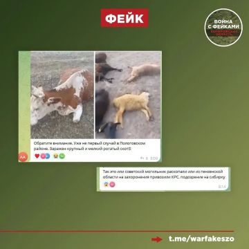 ���� � ������ ����� � ����������� ������������� ������ �������������� � ����