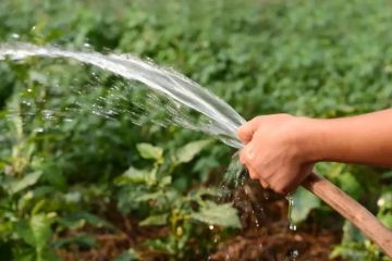 Важная информация от ГУП ЗО «Вода Запорожья» для жителей Бердянского муниципального округа