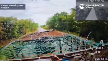 Десантники Новороссийска перекрывают подъездные пути для ВСУ в Запорожской области