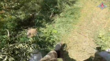 ���������� ������: ����� � ����, ����� �� �����