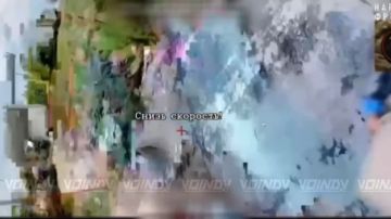 ������� ���� 14 ��������� ����������� ������� �������� ����������� ����� "������" �������� ������� ���������� � ���������� ������� �� ����������� �����������