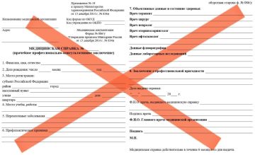 Справка 086/у уходит в прошлое: в Запорожской области заработало электронное медицинское заключение СЭМД-196