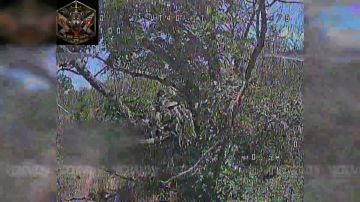 ������� ���� 35 ������������ ����� ���� 35 ����� ����������� ����� ������� ���������� �������� ������� ���������� ��� �� ����������� �����������
