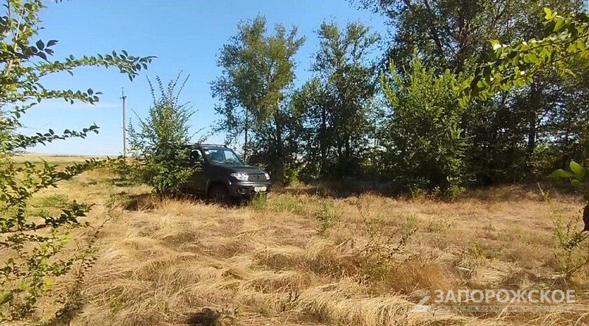 Жителей Запорожской области предупредили о высокой пожароопасности