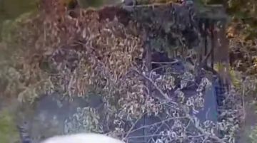 ���������: ����� ������ ���������� ����������� ������������ ���