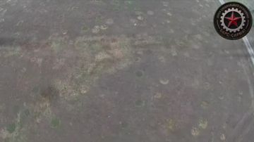 ����� "����-������" ���������� ������� ������ "����������" �� ��������� ������