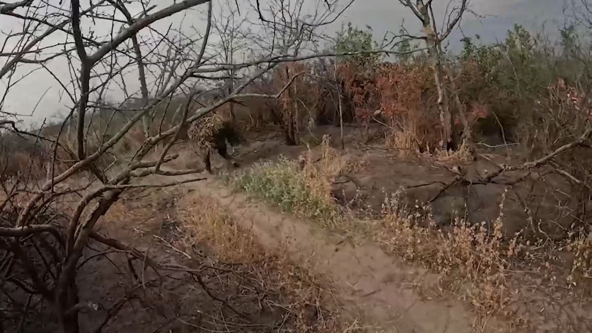 Важный опорник ВСУ взяли штурмом в Запорожской области