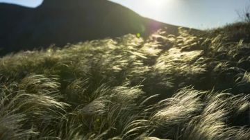 �������� ��������� ���������� ������� � ����������� �������