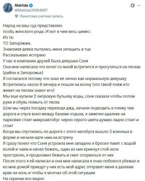"Запорожские прогулки". Роман в двух постах