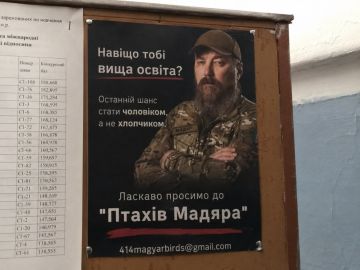 "��� ���� ���� ������ �����������? ��������� ���� ����� ��������, � �� ���������"