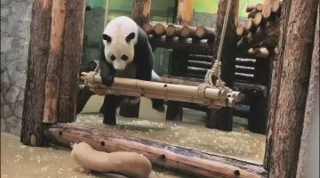 ����� ��� �� ����������� �������� �� � ���� � �����������