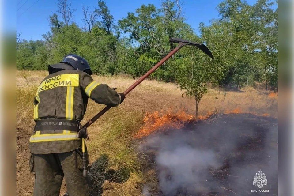 В Запорожской области за неделю произошло 142 пожара