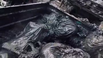 ������ ���� ��������, ����������� �������!