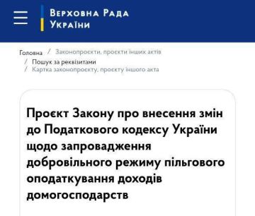 В Раде зарегистрировали законопроект о налоге на сезонные заработки и бытовые услуги