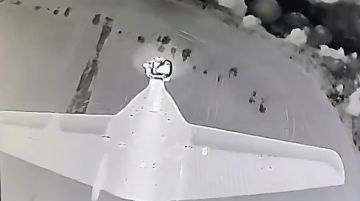 ���������: ����� ������ ���������� ����� �� ����������� �������� ����������