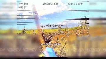 Воины-дальневосточники продолжают систематическое уничтожение пунктов управления беспилотными системами ВСУ на Запорожском направлении