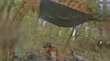 ����������� �������� �������� �������� �������� ���������� � ���������� �������� �� 1,4 �� � ������� � 1.1 �� �� ������. ���������� � ���� � ��������� ����� ���������
