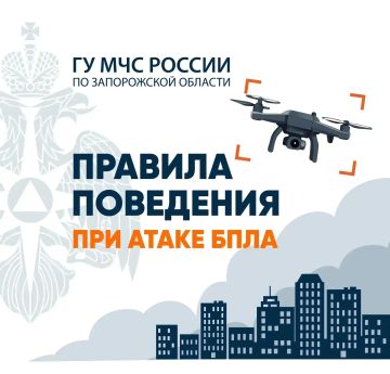 ����� ����: ��� ������?. �������� � ������ �������� ������ ������� �� ���