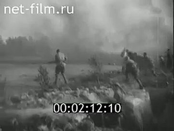 Урок истории.. 31 июля 1944 года завершилась Псковско-Островская наступательная операция