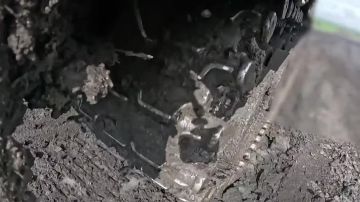 Небесный щит Запорожской области