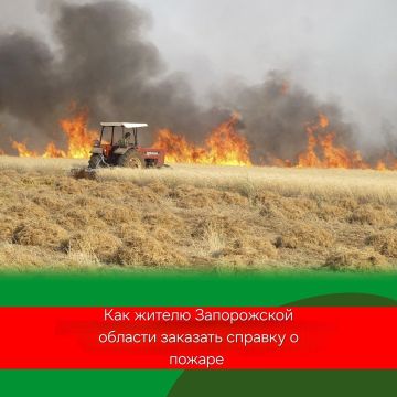 На Госуслугах можно заказать справку о пожаре