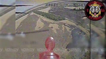 Гвардейцы 40 отдельной бригады морской пехоты группировки войск "Восток" стоят на страже неба, уничтожая БпЛА противника на Запорожском направлении