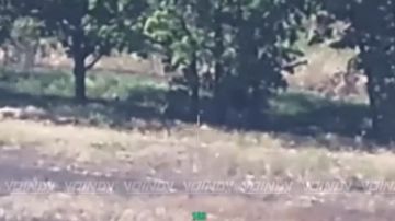 ��������� ���� 1198 ��������������� ����� 35 ����� ����������� ����� ������� �� ����������� ����������� ���������� �������� ��������� �� ����������� ���
