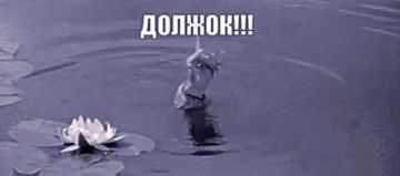 ���� �� ���������� ��������, �� ������ ����� �� � ����