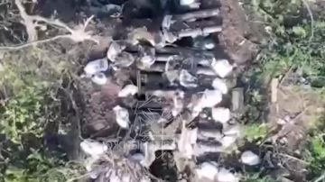 � ���������� �������� � ����������� �������� ������������� ����� ����������� ����� ���������� ���������� ����� ������ �������� �������� ����������