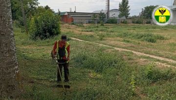 В Константиновском сельском поселении продолжают благоустраивать общественные пространства