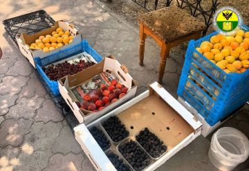 Напоминание об ответственности за несанкционированную торговлю