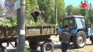 Сквер возле Дворца культуры «Дормаш» приобретает ухоженный вид