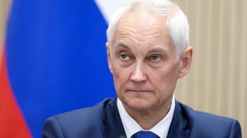 Белоусов: Бойцы "Востока" успешно продвигаются на Запорожском направлении